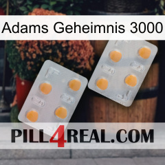 Adams Secret 3000 25